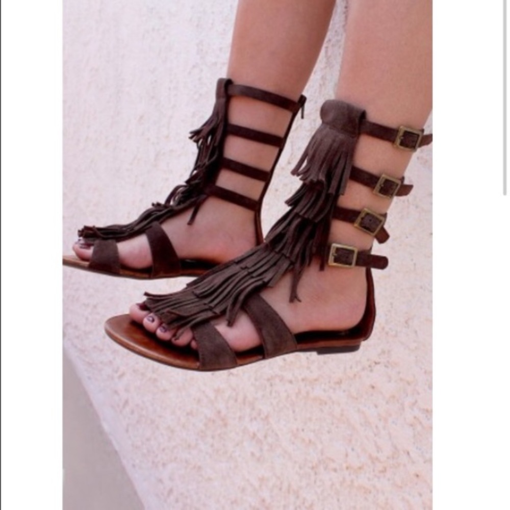Jeffrey Campbell gladiators sandals